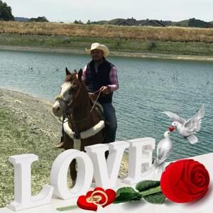 Meet your Posher, Reyes